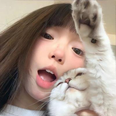猫王传奇 在线观看